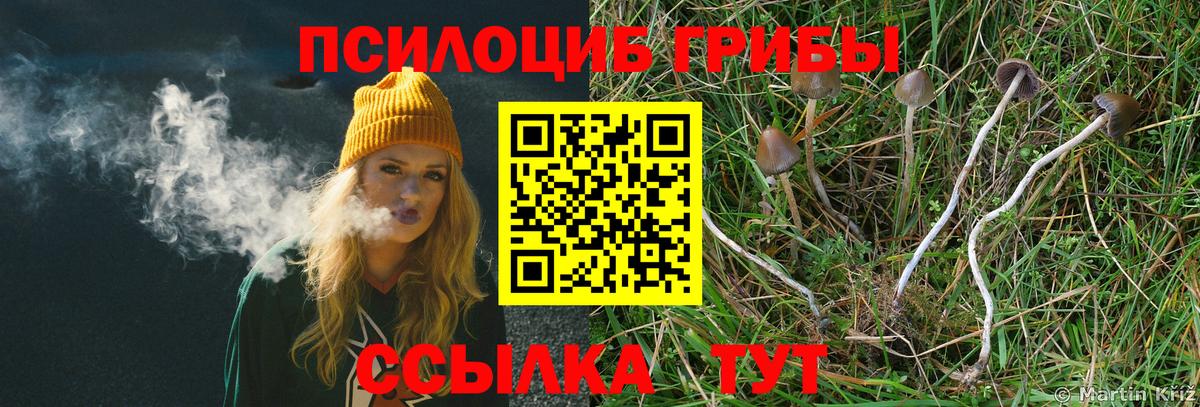 Псилоцибиновые грибы Magic Shrooms Балашиха